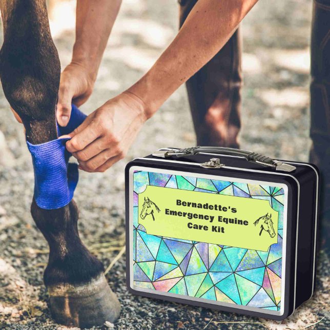 Customisable First Aid Equine Emergency Container Metal Lunch Box (Creator Uploaded)