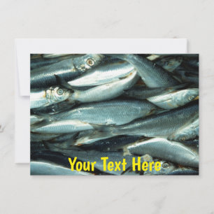 Customisable Fish card