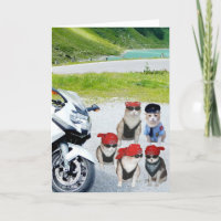 Customisable Funny Biker Cats Birthday