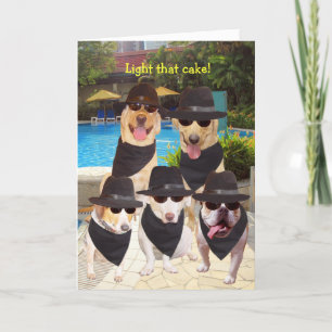 Customisable Funny Blues Dogs/Labs Birthday Card
