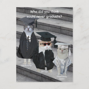 Customisable Funny Cat/Kitty Graduates Announcement Postcard