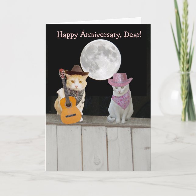 Customisable Funny Cats Anniversary Card (Front)