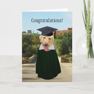 Customisable Funny Dog/Lab Graduation Card