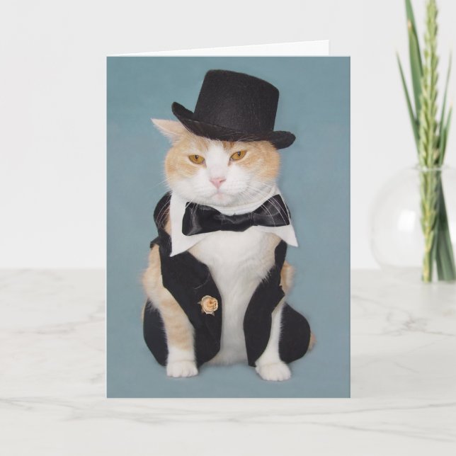Customisable Funny Formal Cat/Kitty Card (Front)