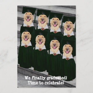 Customisable Funny Graduation Party Invitation