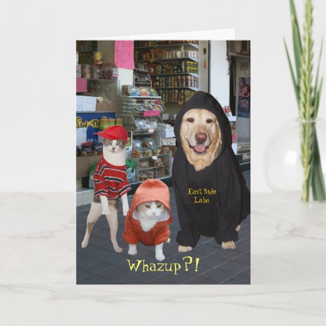 Customisable Funny Pets/Cats/Dog Whazup Birthday Card (Front)