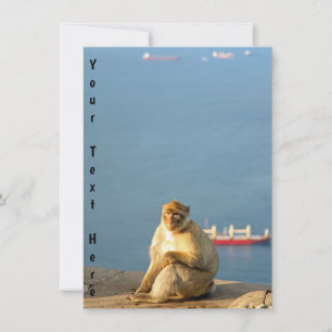 Customisable Gibraltar Barbary ape