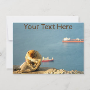 Customisable Gibraltar Barbary ape Card