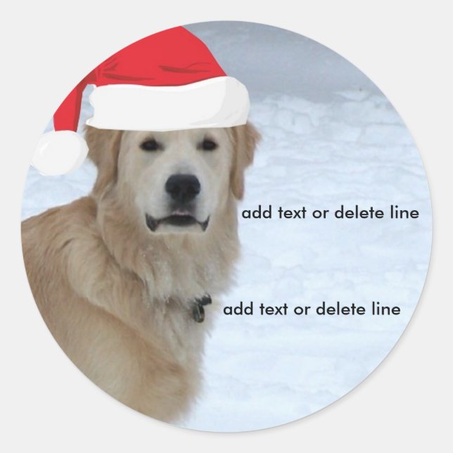 Customisable Golden Retriever Santa Hat Sticker (Front)