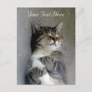 Customisable Happy Cat Post Card