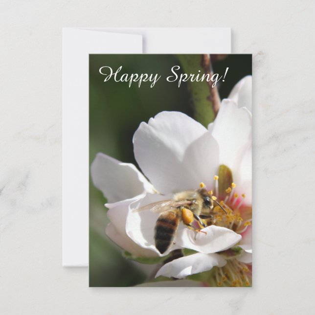 Customisable "Happy Spring" Card with Bee Photo (Front)
