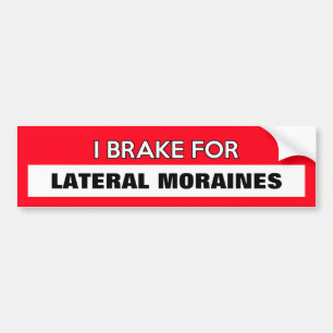 Customisable "I Brake For..." Bumper Sticker