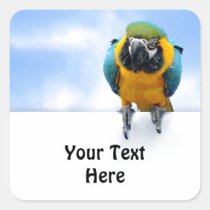Customisable Macaw Square Sticker