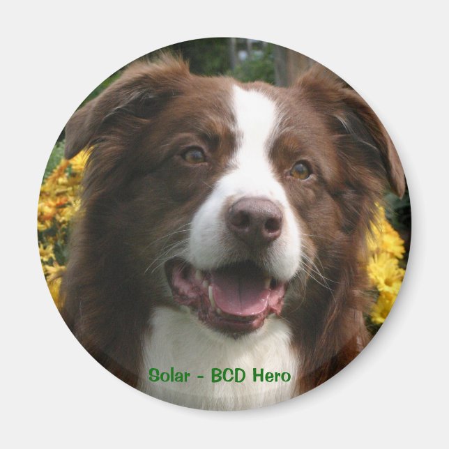 Customisable Magnet (Front)