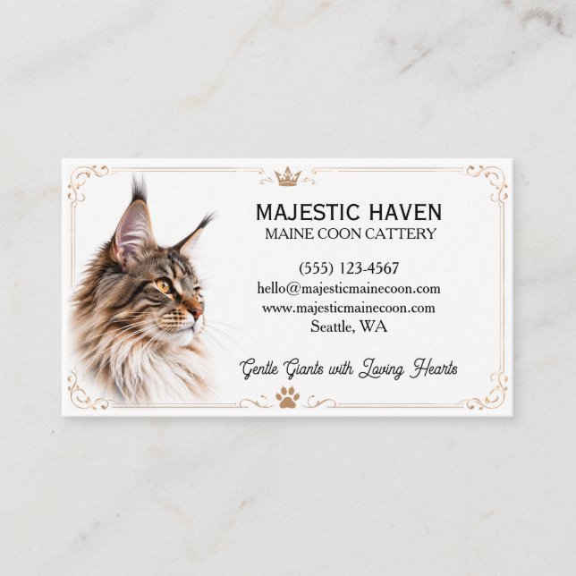 Customisable Maine Coon Cattery Business Card  (Front)