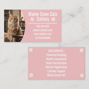 Customisable Maine Coon Cattery Business Cards