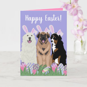 Customisable Mountain Dog Easter Card