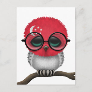 Customisable Nerdy Singapore Baby Owl Chic Postcard