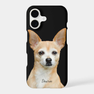 Customisable painted chihuahua on black background