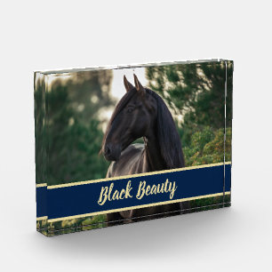 Customisable/Personalised Horse Photo w/ Show Name Block