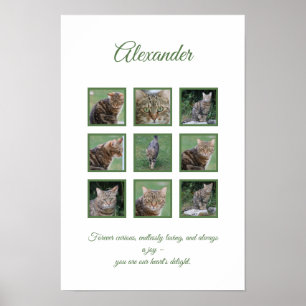 Customisable Pet Celebration Poster