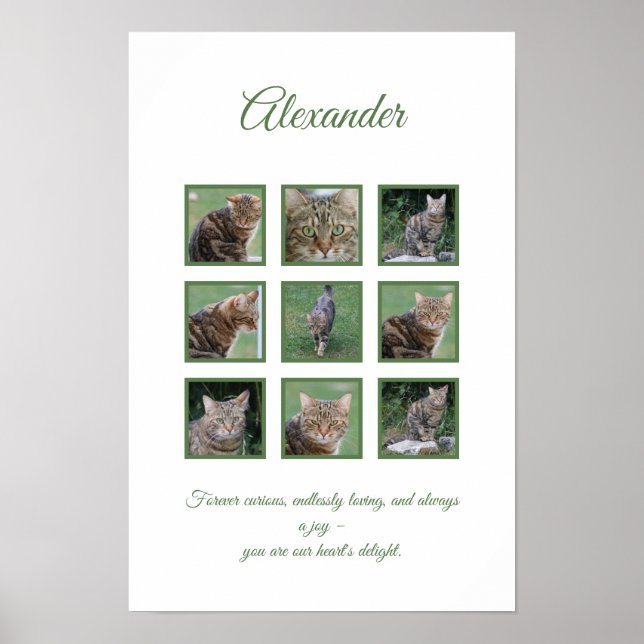 Customisable Pet Celebration Poster (Front)