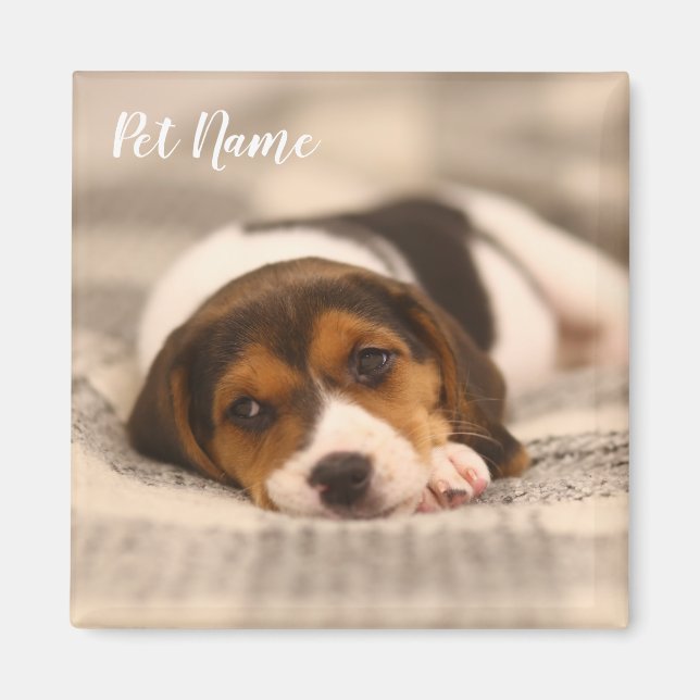 Customisable Pet Magnet with Photo and Name (Front)