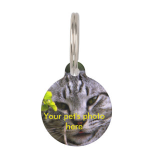 Customisable Pet Photo Tag