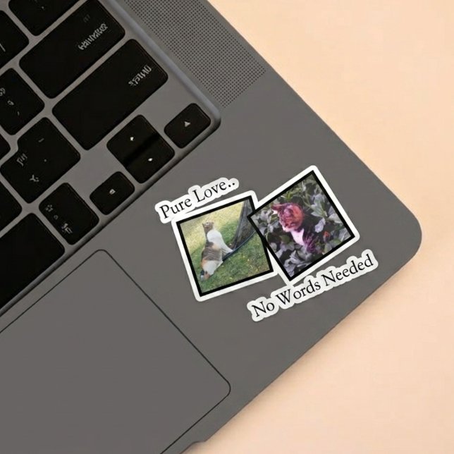 Customisable Pet Photo vinyl Sticker (Fully customizable vinyl sticker with photos for pet lovers)