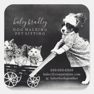 Customisable Pet Sitting Grooming Services Square Sticker