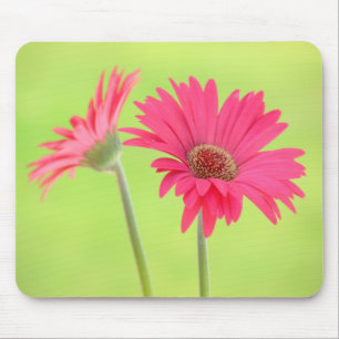 Customisable Pink Gerber Daisies on Green Mousepad