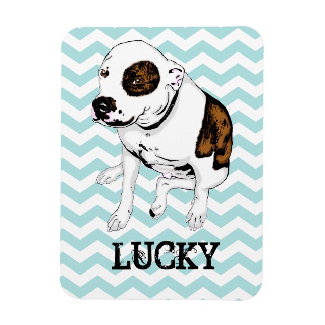 Customisable Pit Bull Teal Chevron Fridge Magnet (Vertical)