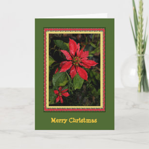 Customisable Poinsettia Christmas Card