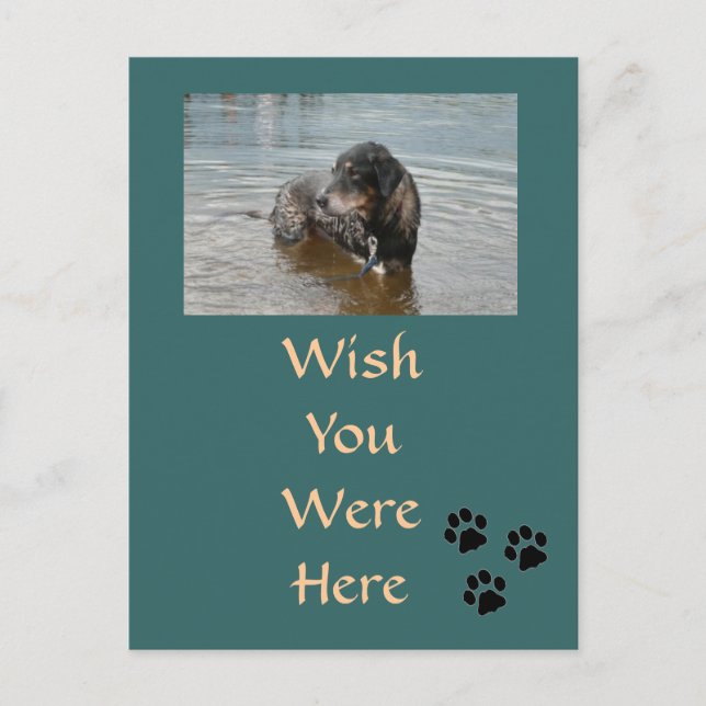 Customisable Postcard (Front)