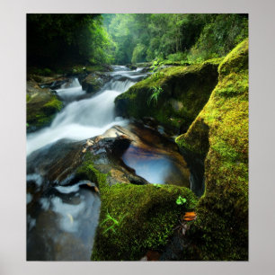 Customisable Poster: Chattooga River Waterfall Poster