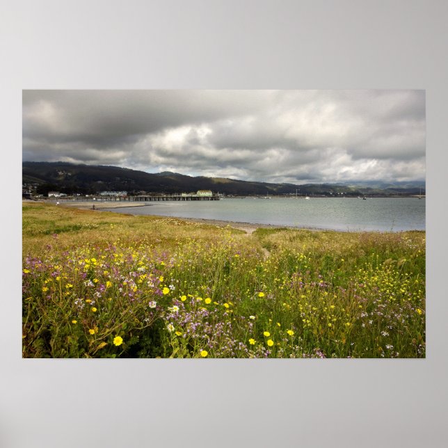 Customisable Poster: Half Moon Bay in Spring Poster (Front)