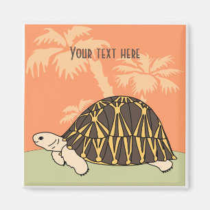 Customisable Radiated Tortoise Magnet 3