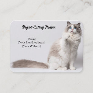 Customisable Ragdoll Cattery Business Card
