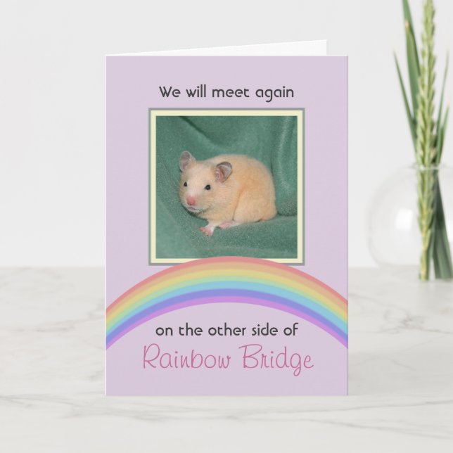Customisable Rainbow Bridge Pet Memorial Card (Front)