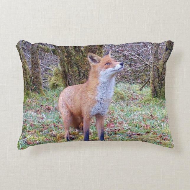 Customisable Red Fox Looking Up Woodland Wildlife  Decorative Cushion (Front)