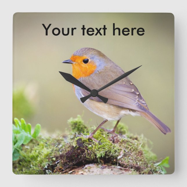 Customisable Robin clock add your own text (Front)