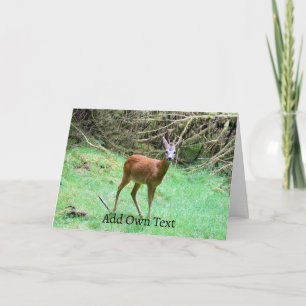 Customisable Roe Deer Buck Greeting Card 