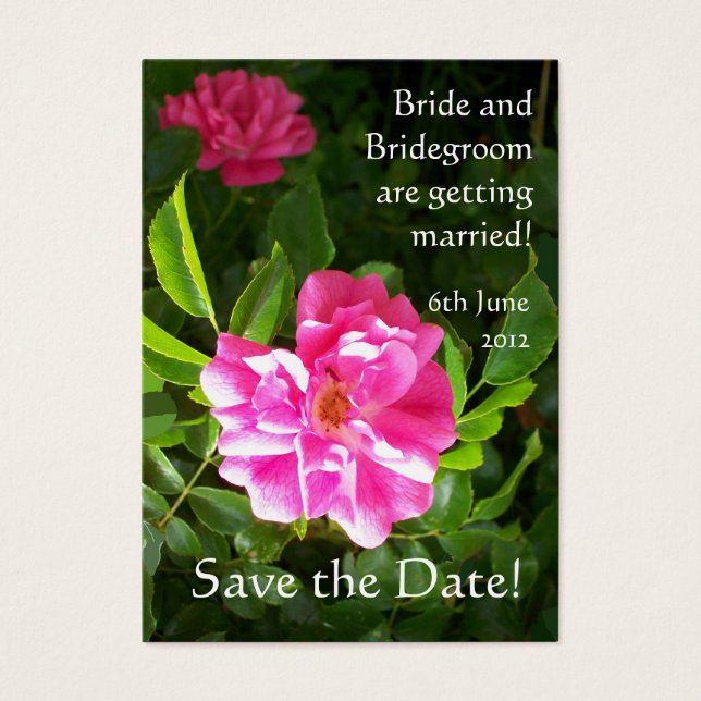 Customisable Save the Date Card, Bright Pink Roses (Front)