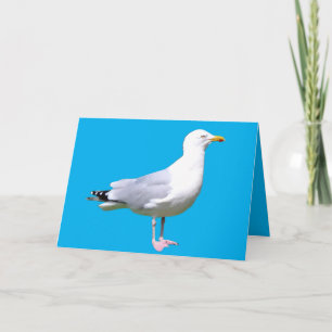 Customisable Seagull Standing Greetings Card