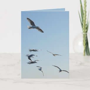 Customisable Seagulls Flying Greeting Card