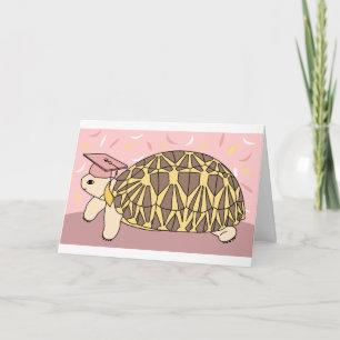 Customisable Star Tortoise Graduation Card 3