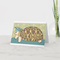 Customisable Star Tortoise Graduation Card 4