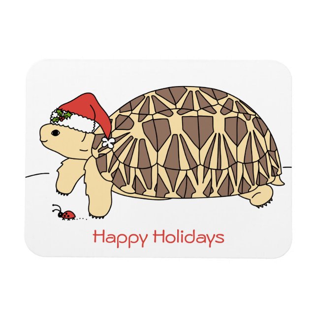 Customisable Star Tortoise Holiday Magnet (Horizontal)