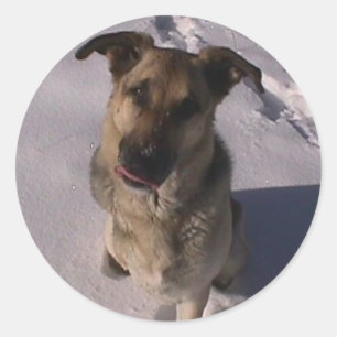 Customisable Sticker