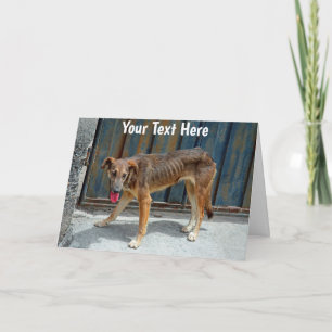 Customisable stray dog card